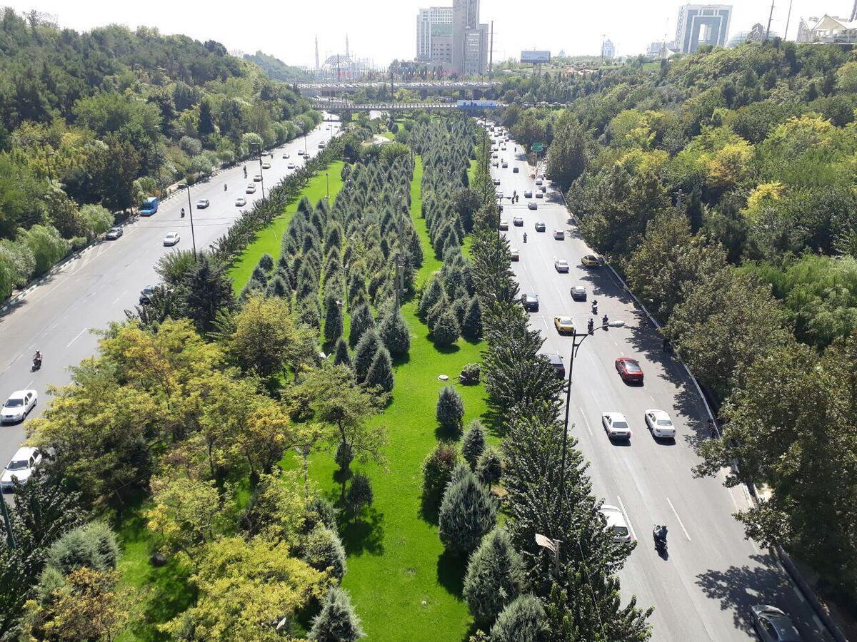 سرانه فضای سبز در برخی مناطق تهران مطلوب نیست