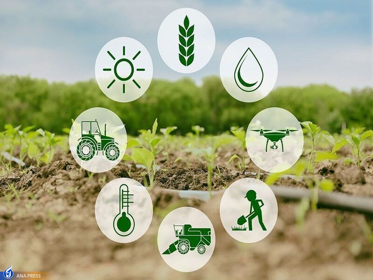 فناوری به افزایش بهره‌وری در کشاورزی و ایجاد امنیت غذایی کمک می‌کند