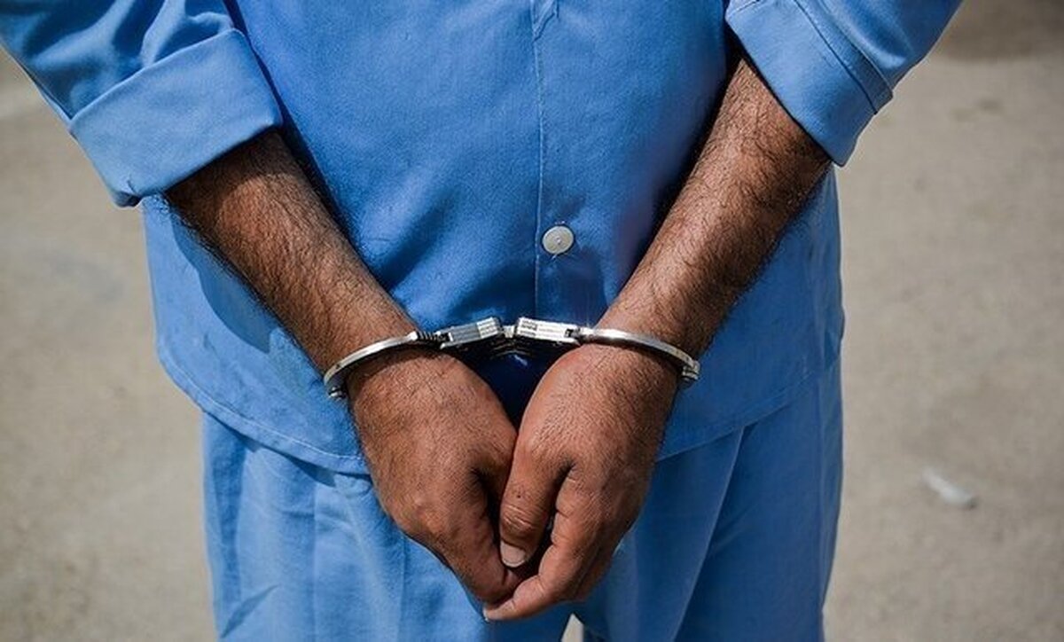 عامل اصلی اغتشاشات پاساژ علاءالدین دستگیر شد