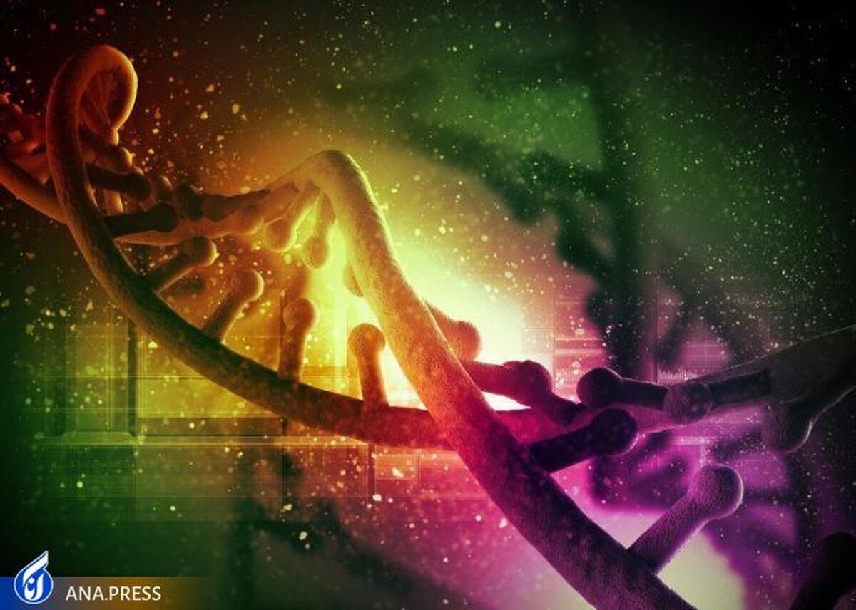 نوع نادر ژن انسانی تفاوت‌های اساسی جنسی را آشکار می‌کند