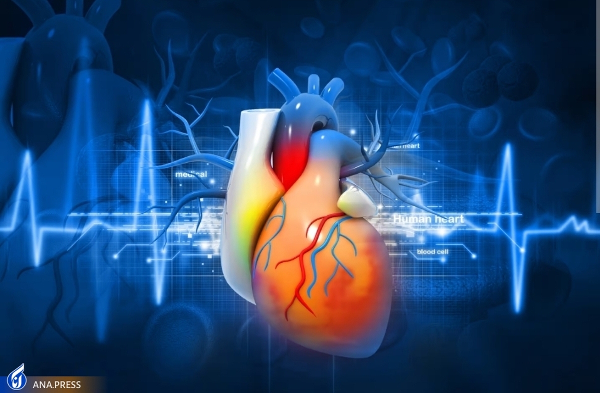 تشخیص التهاب عضله قلب و میوکاردیت با آزمایش خون ممکن شد
