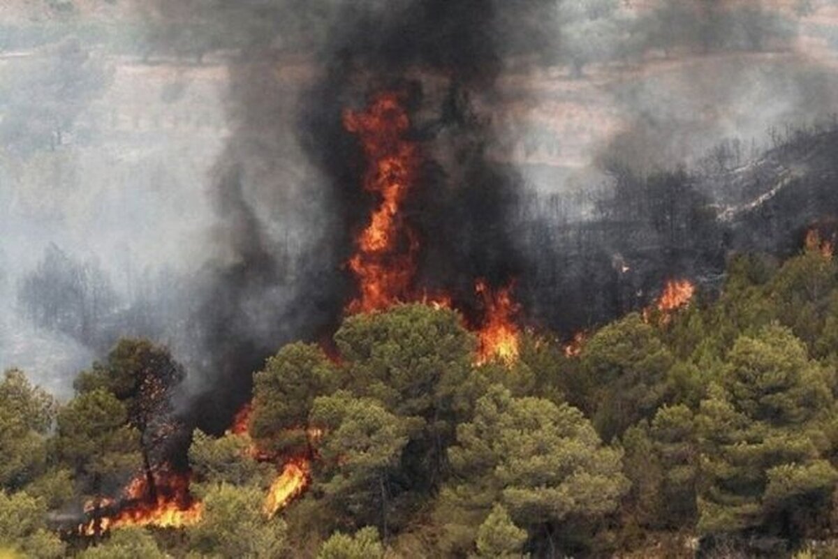 آتش سوزی جنگل‌های هیرکانی اطفا شد