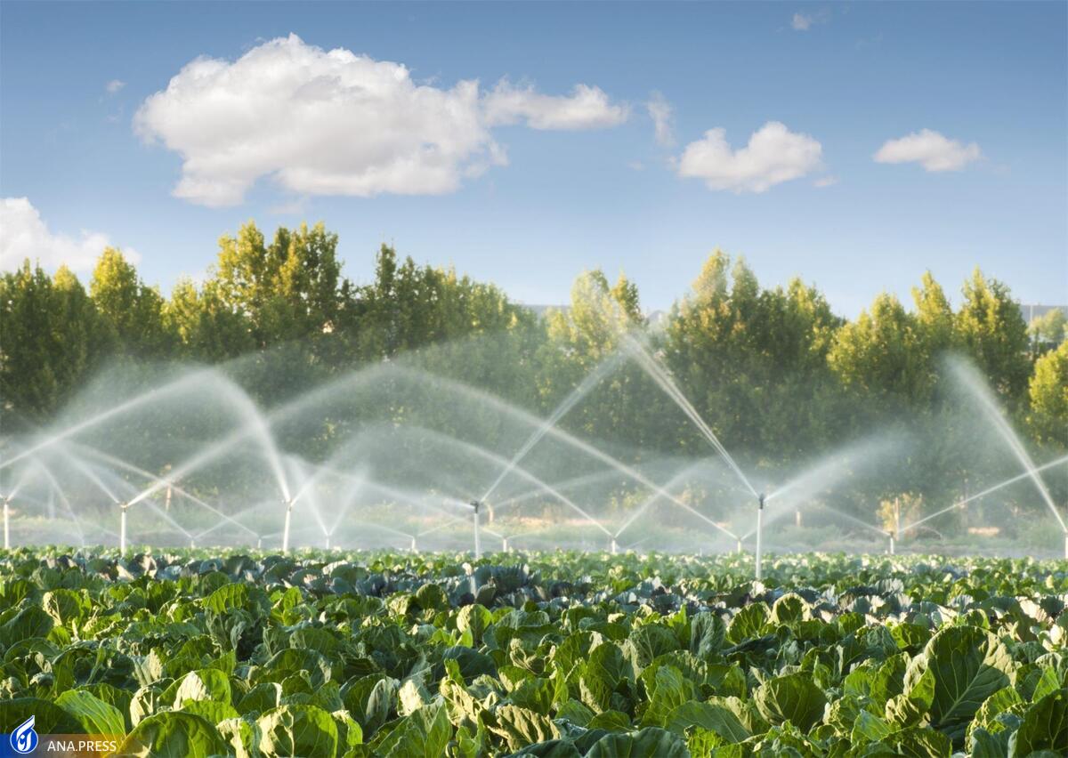 مصرف ۲ برابری آب برای تولید محصولات کشاورزی کشور
