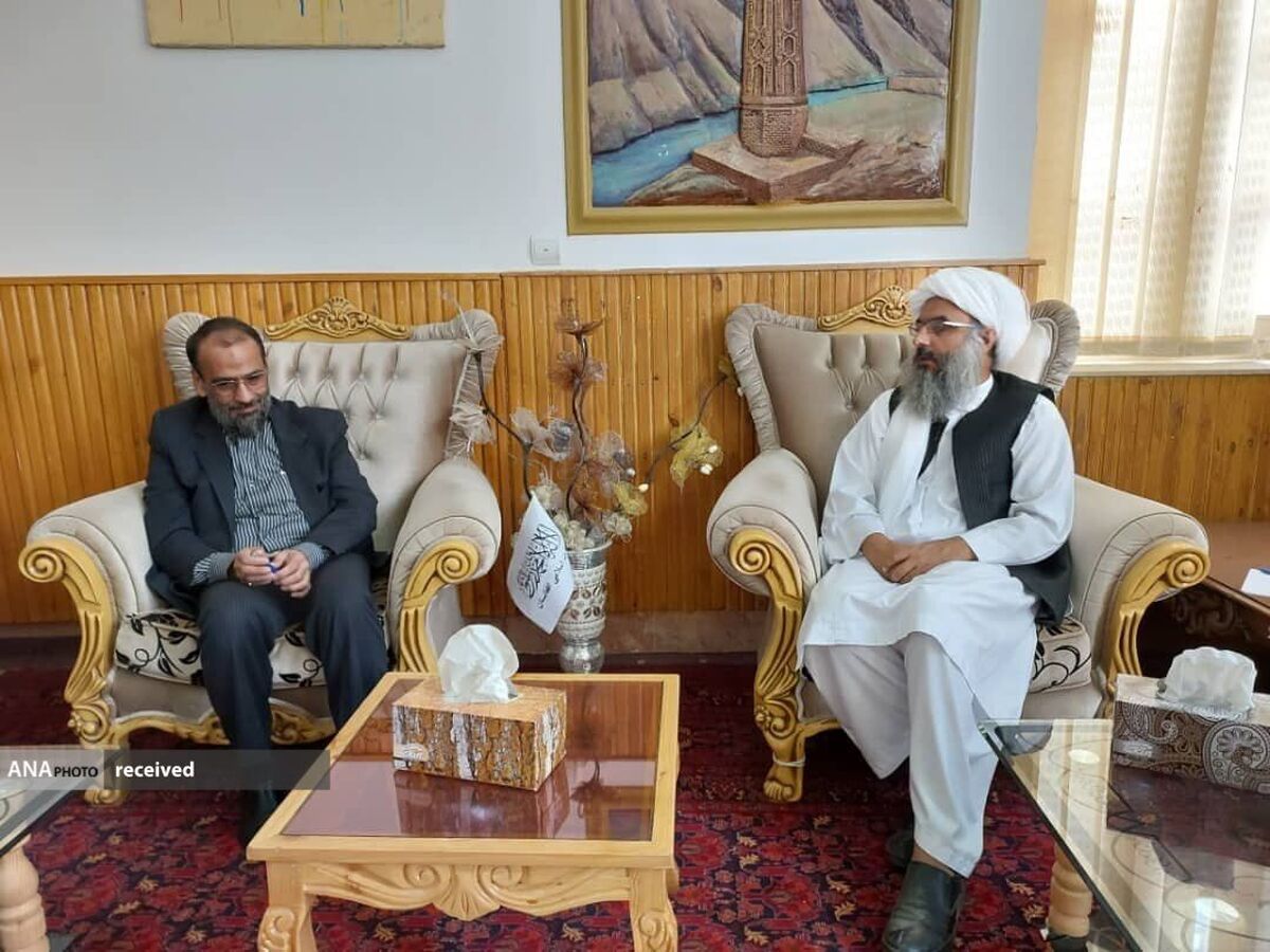 معاون  سفارت ایران در افغانستان با والی هرات دیدار کرد