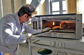 فناوری نان‌های اروپایی؛ از کاهش مواد مضر آرد تا حذف جوش شیرین