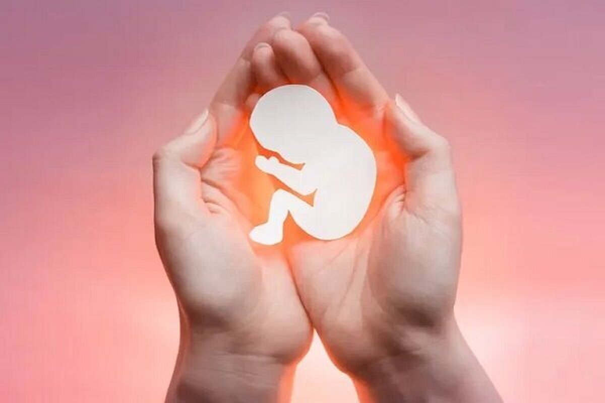 سقط جنین از عوامل کاهش نرخ جمعیت است