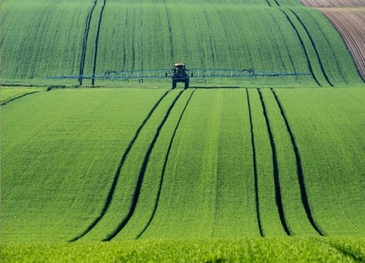 از تغییر کاربری اراضی کشاورزی تا سوداگری و سودجویی