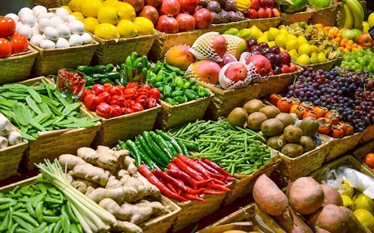 رونمایی از ۶ محصول جدید دانش‌بنیان حوزه غذا و کشاورزی 