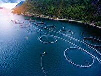 ایجاد زنجیره ارزش تولید ماهی در قفس در آب‌های شمال کشور