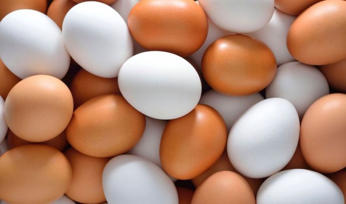 هر شانه تخم مرغ به ۹۴ هزار و ۵۰۰ هزار تومان رسید