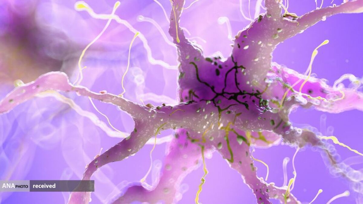 تشخیص به‌موقع بیماری آلزایمر با کنترل فعالیت الکتریکی مغز