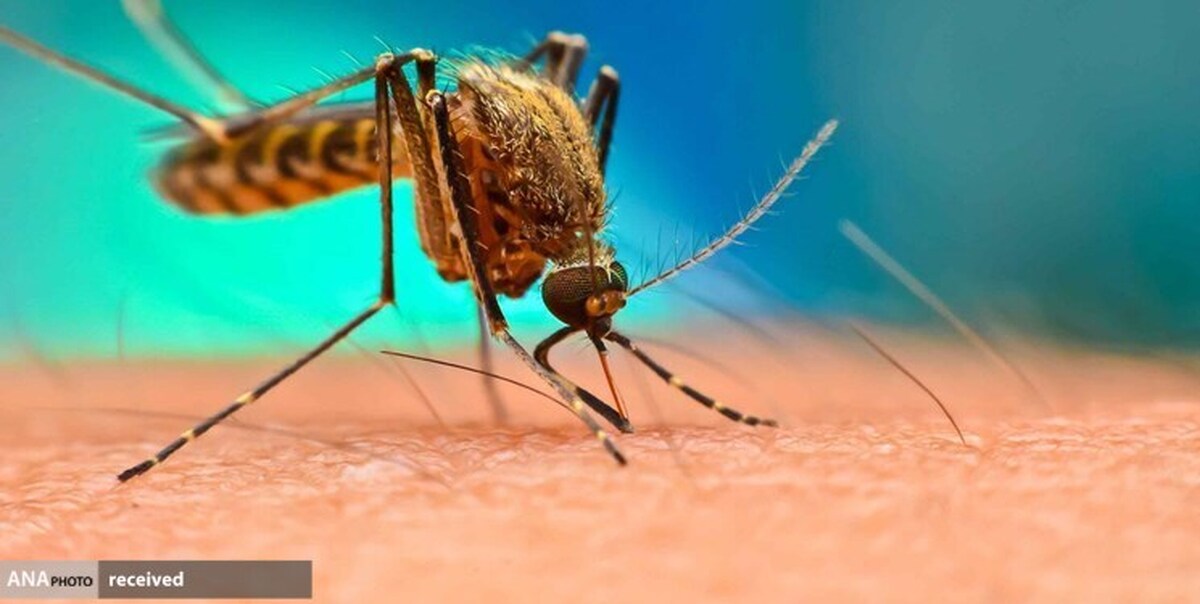 پیشتازی ایران در سطح تشخیص مالاریا