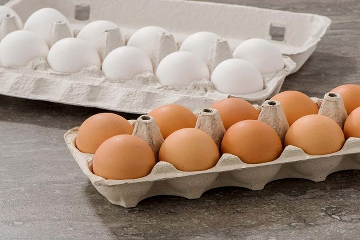 قیمت تخم‌مرغ بسته‌بندی افزایش یافت