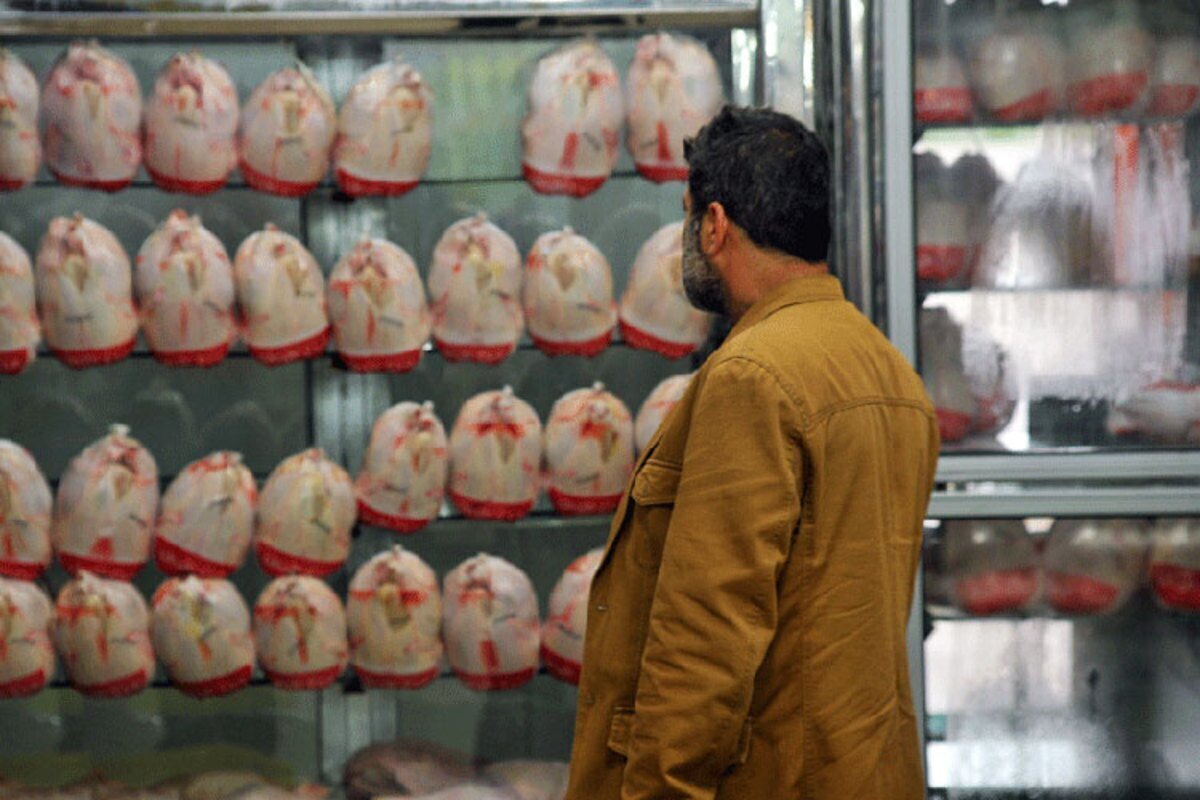 عرضه مرغ در تهران افزایش یافت