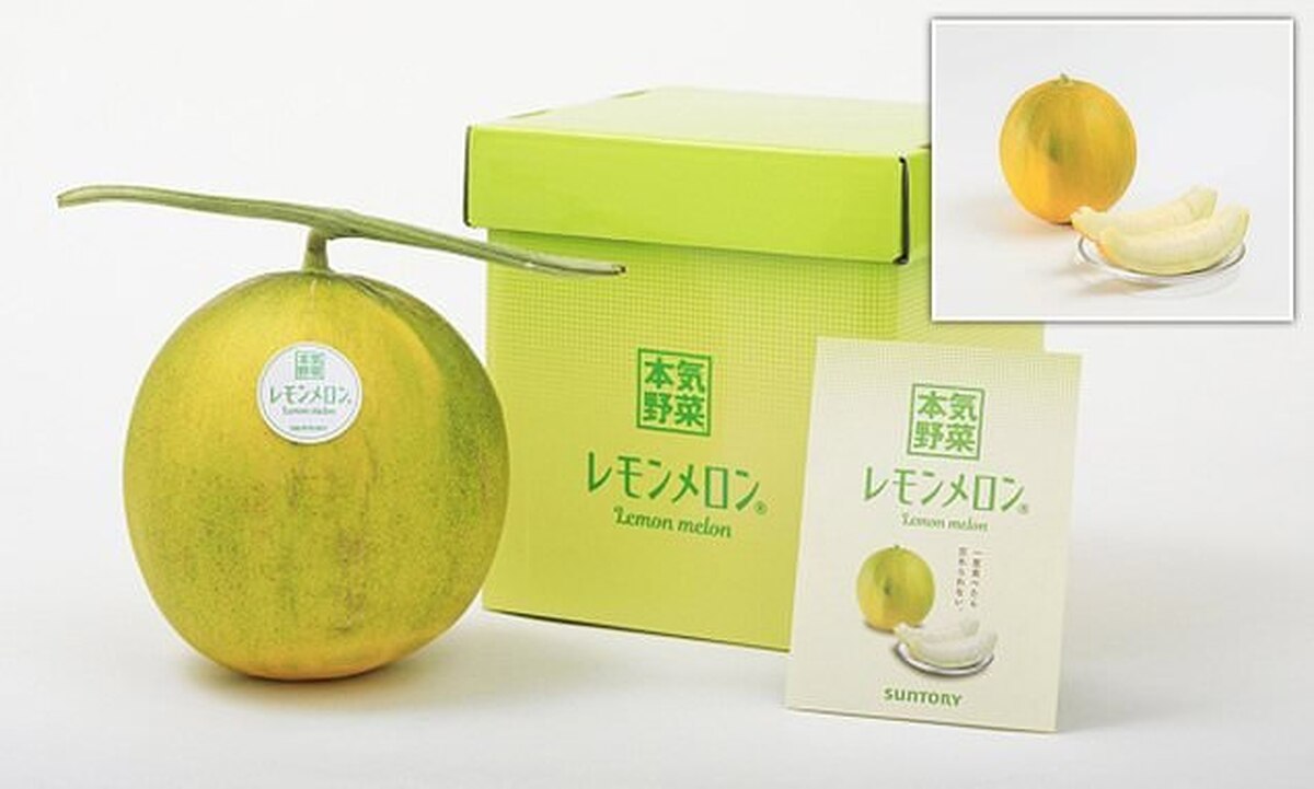 ترکیب گران‌قیمت لیمو و طالبی به بازار عرضه می‌شود