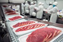 تجهیز صنعت فرآوری محصولات گوشتی به علم روز