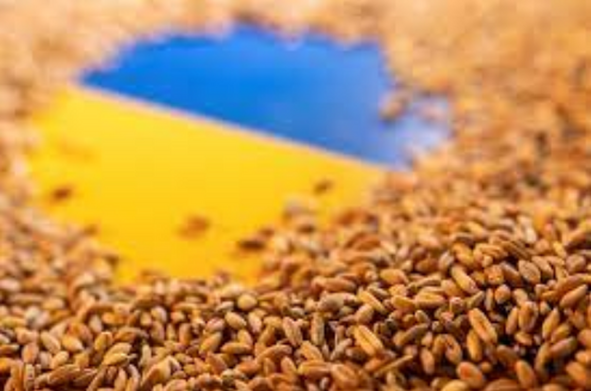 اوکراین با کرواسی برای صادرات غلات توافق کرد