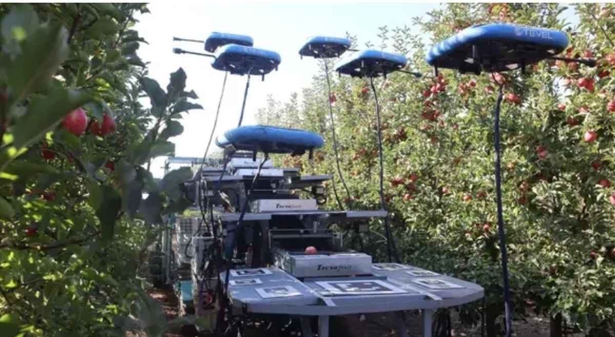 پرواز ربات‌های میوه‌چین/ راه حل هوش مصنوعی برای کمک به کشاورزان