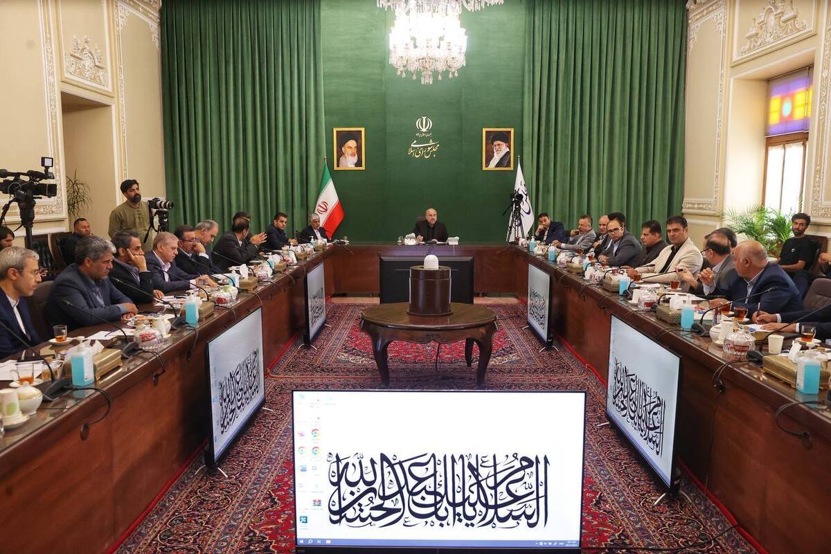 دیدار سرپرست وزارت ورزش و جوانان و رؤسای فدراسیون‌ها با رئیس مجلس شورای اسلامی