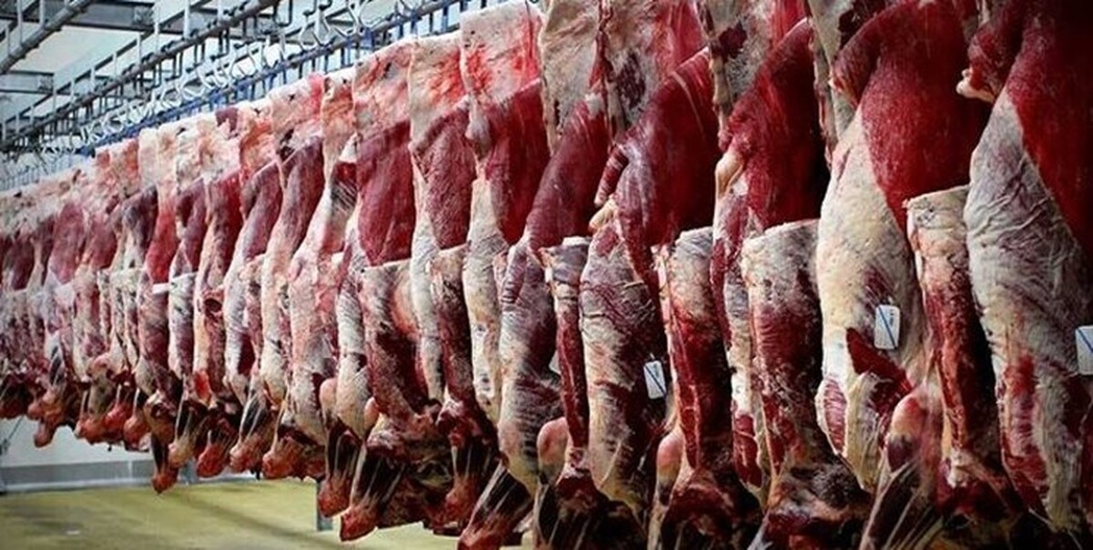 توزیع روزانه ۱۲۰ تن گوشت قرمز تنظیم بازار در تهران