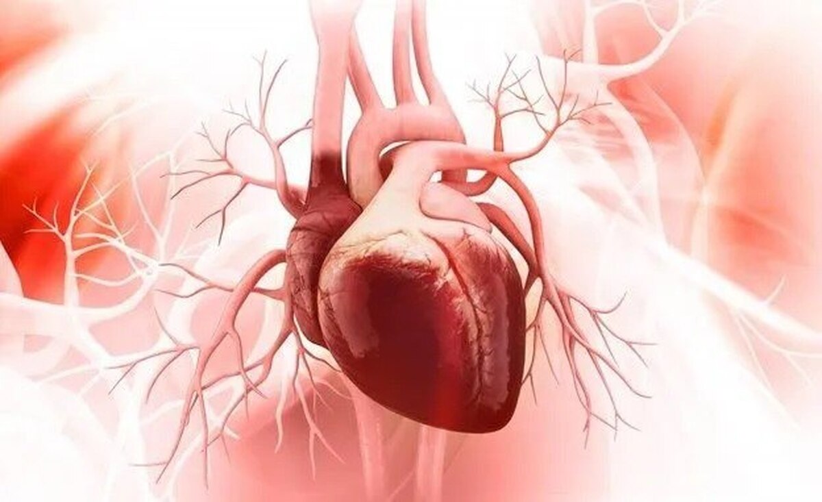 روشی جدید برای درمان بیماری‌های قلبی به کمک سلول‌های بنیادی
