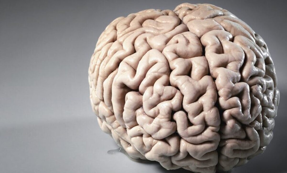 ساخت دستگاه تحریک عمقی غیرتهاجمی مغز برای درمان اعتیاد