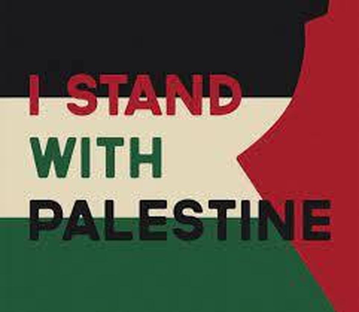 حمایت از فلسطین با رکوردشکنی‌ هشتگی در تیک‌تاک