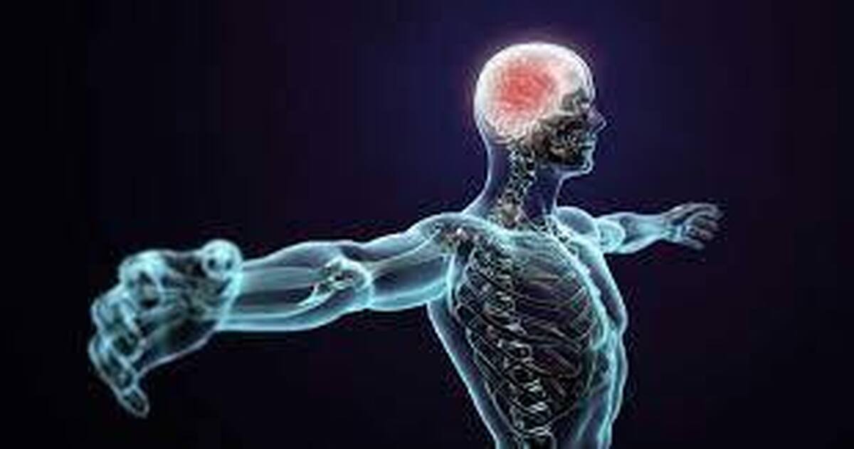 عقل سالم در بدن سالم‏/ شش‌ضعلی شناختی در جست‌وجوی مسئله ارتباط ذهن و بدن