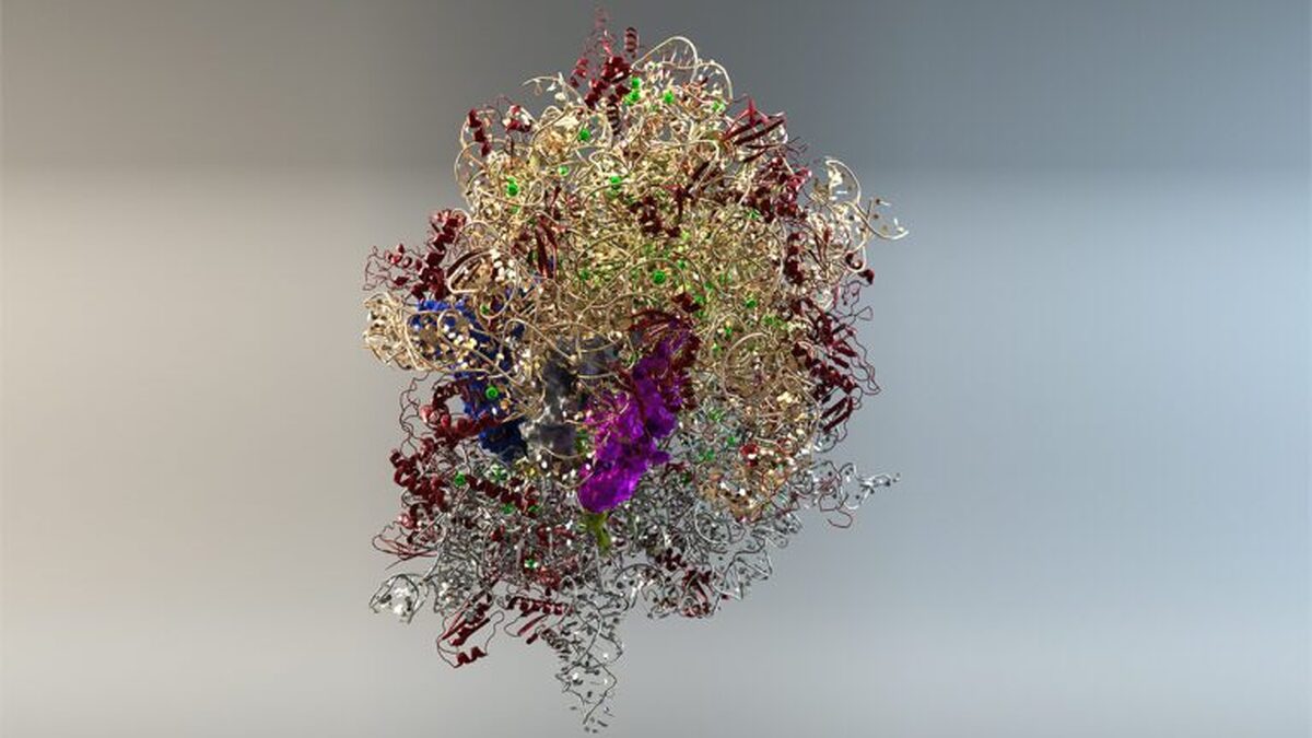 تشخیص بهتر پروتئین‌ها توسط آشکارسازهای نانوسیم