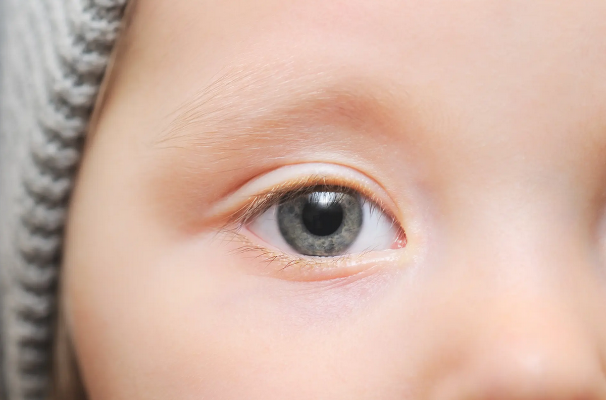 تشخیص ۱۰۰ درصدی اوتیسم در کودکان با بررسی تصویر شبکیه