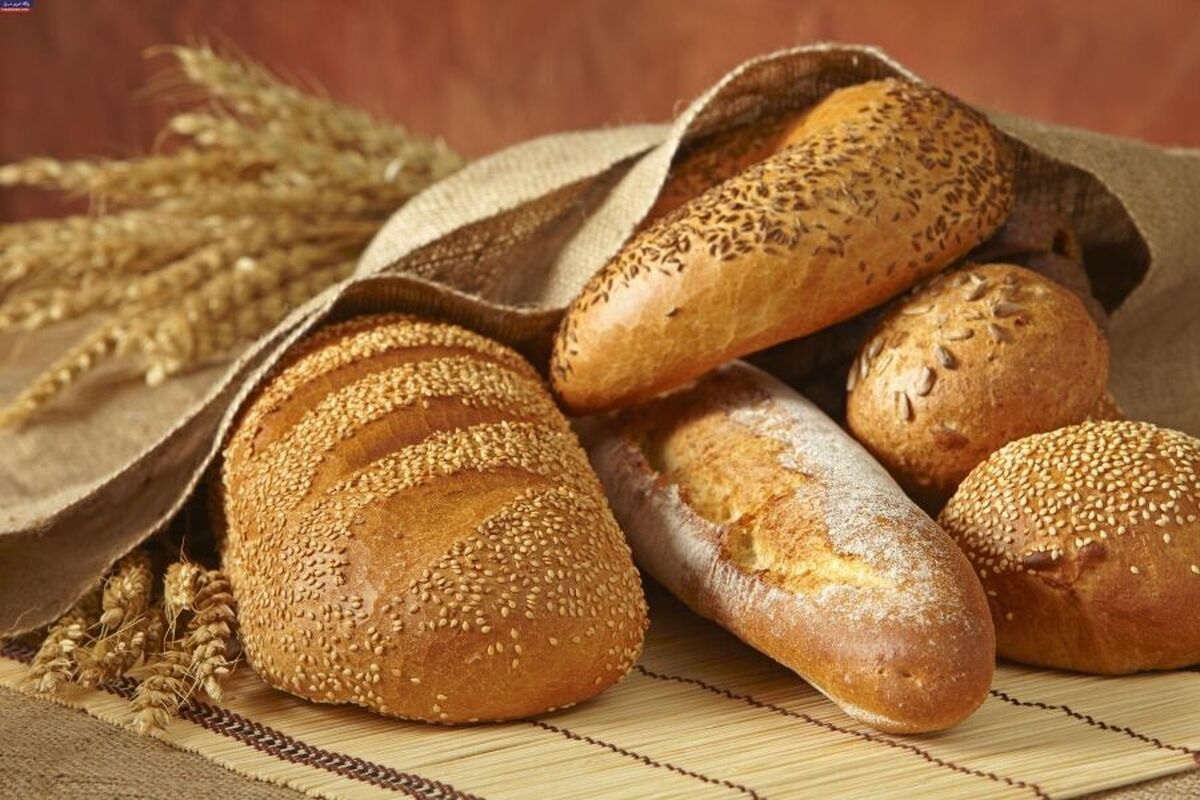 صادرات نان منتفی شد