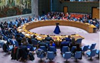 شورای امنیت باید برای توقف فوری جنگ در غزه مداخله کند