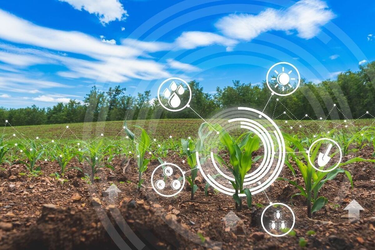 تعداد شرکت‌های فناوری و نوآوری کشاورزی به ۱۰۰۰ خواهد رسید