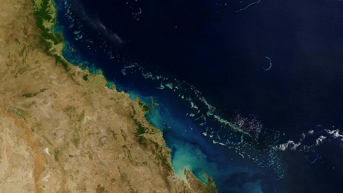 ماهواره نوا رویداد تلخ سفید شدن مرجان‌ها را ثبت کرد